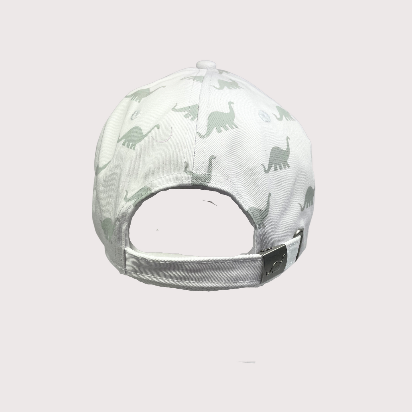 Multi DINO Cap