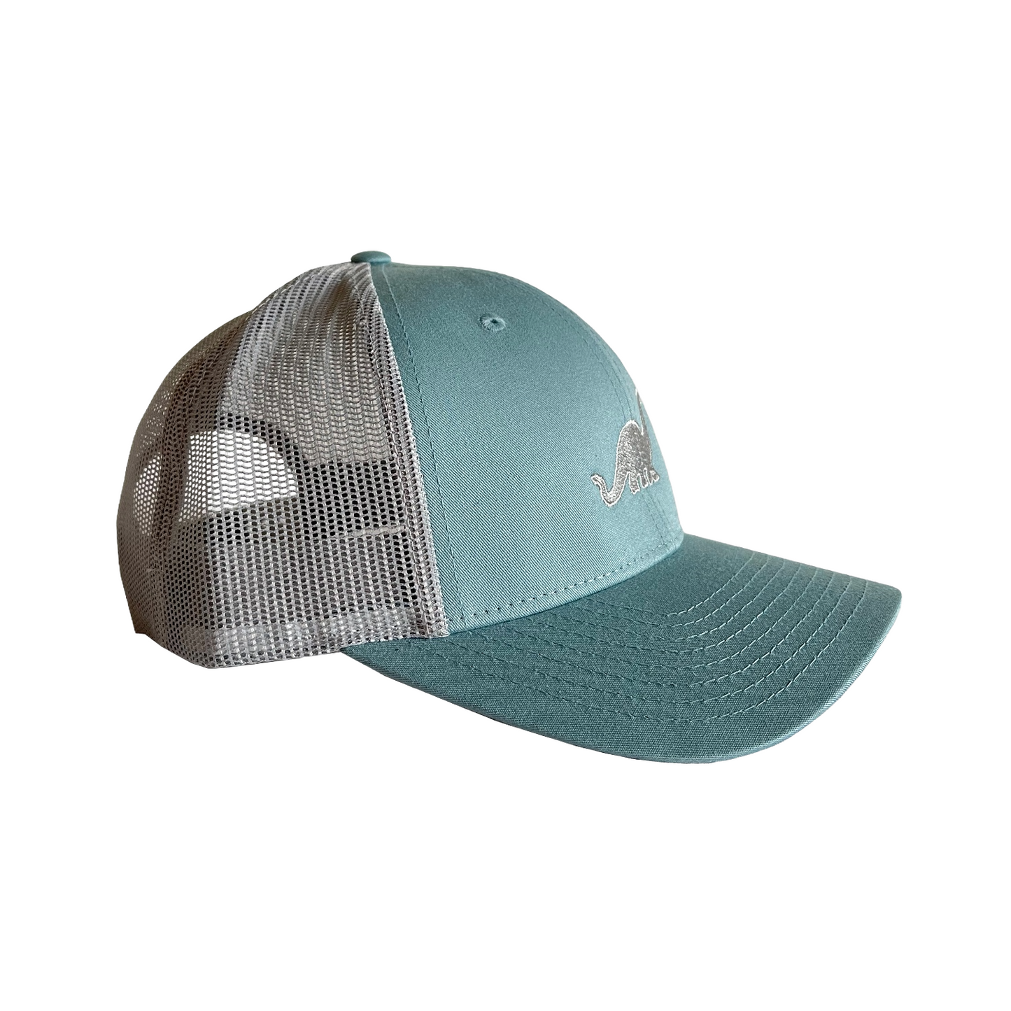 DINO Smoke Blue Cap