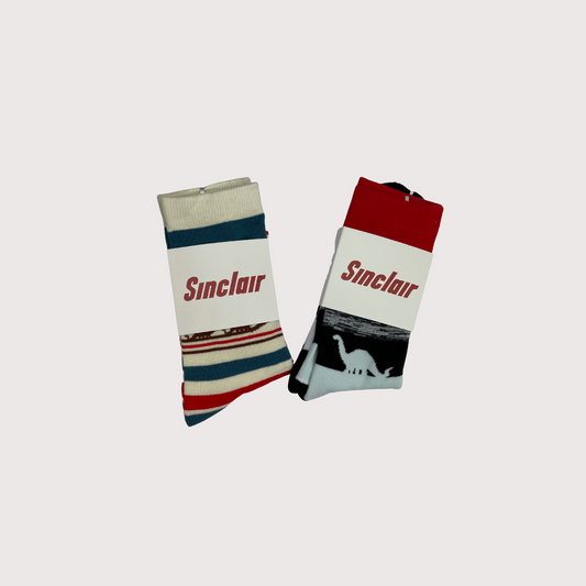 DINO Multi-Color Socks