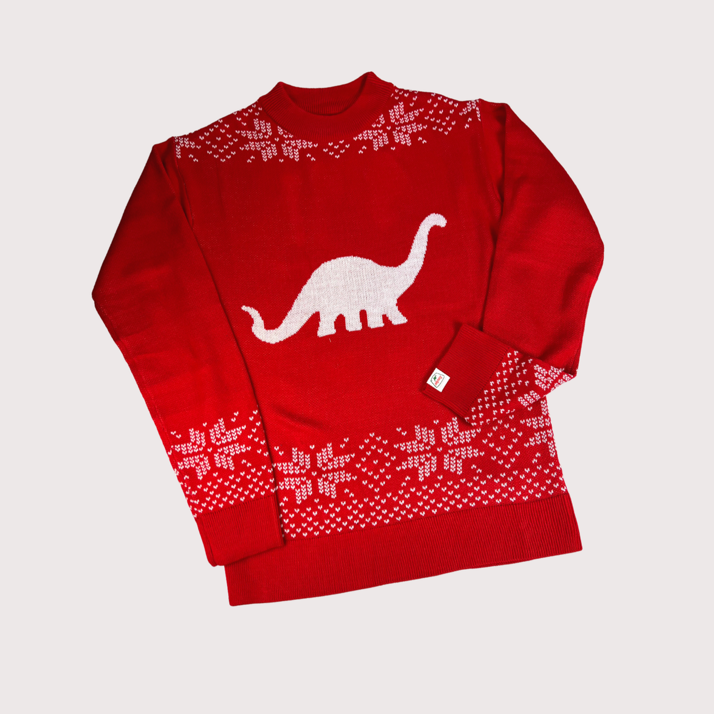 Boys dinosaur 2025 christmas sweater